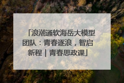 浪潮通软海岳大模型团队：青春逐浪，智启新程｜青春思政课