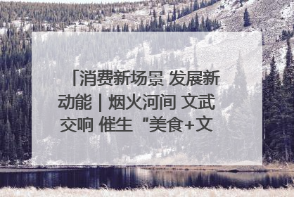 消费新场景 发展新动能｜烟火河间 文武交响 催生“美食+文化”消费新场景