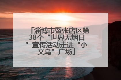 淄博市暨张店区第38个“世界无烟日”宣传活动走进“小义乌”广场