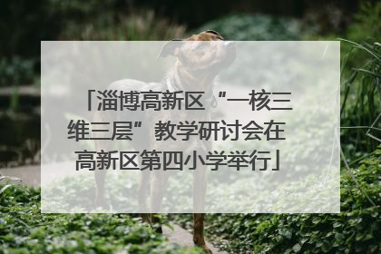 淄博高新区“一核三维三层”教学研讨会在高新区第四小学举行