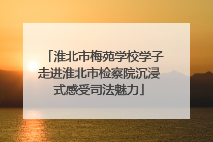 淮北市梅苑学校学子走进淮北市检察院沉浸式感受司法魅力