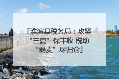 淮滨县税务局：攻坚“三夏”保丰收 税助“弱麦”尽归仓