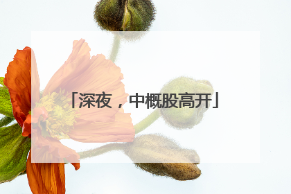 深夜，中概股高开