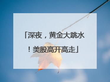 深夜，黄金大跳水！美股高开高走