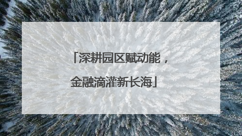 深耕园区赋动能，金融滴灌新长海
