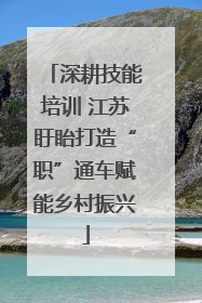 深耕技能培训 江苏盱眙打造“职”通车赋能乡村振兴