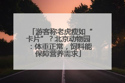 游客称老虎瘦如“卡片”？北京动物园：体重正常，饲料能保障营养需求