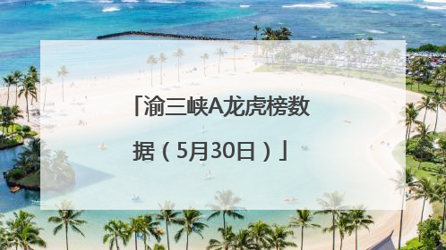 渝三峡A龙虎榜数据（5月30日）