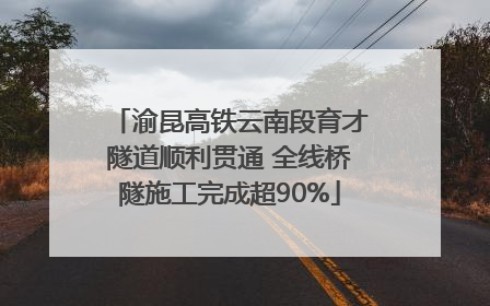 渝昆高铁云南段育才隧道顺利贯通 全线桥隧施工完成超90%