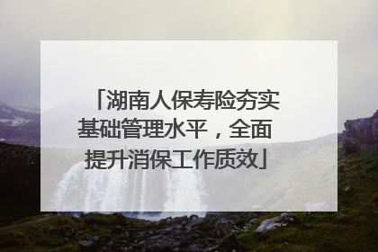 湖南人保寿险夯实基础管理水平，全面提升消保工作质效