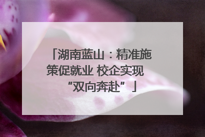 湖南蓝山：精准施策促就业 校企实现“双向奔赴”