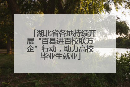 湖北省各地持续开展“百县进百校联万企”行动，助力高校毕业生就业