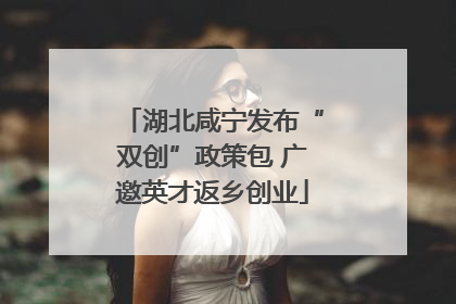 湖北咸宁发布“双创”政策包 广邀英才返乡创业