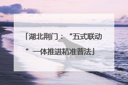 湖北荆门：“五式联动”一体推进精准普法
