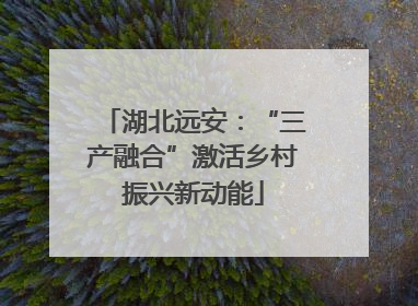 湖北远安：“三产融合”激活乡村振兴新动能
