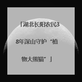 湖北长阳农民38年深山守护“植物大熊猫”