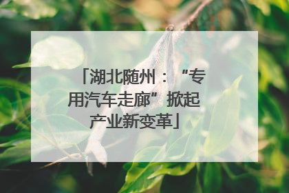 湖北随州：“专用汽车走廊”掀起产业新变革