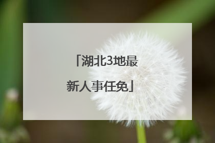 湖北3地最新人事任免