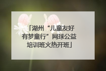湖州“儿童友好 有梦童行”网球公益培训班火热开班