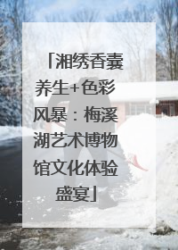 湘绣香囊养生+色彩风暴：梅溪湖艺术博物馆文化体验盛宴