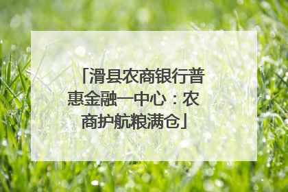 滑县农商银行普惠金融一中心：农商护航粮满仓