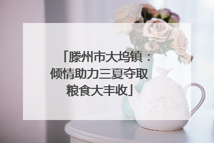 滕州市大坞镇：倾情助力三夏夺取粮食大丰收