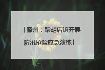 滕州：柴胡店镇开展防汛抢险应急演练