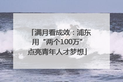 满月看成效：浦东用“两个100万”点亮青年人才梦想
