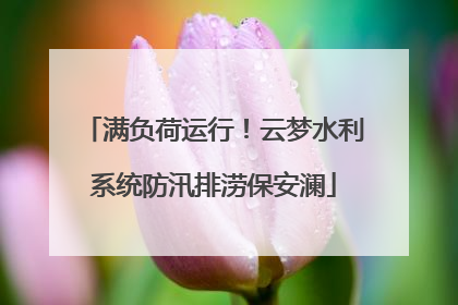 满负荷运行！云梦水利系统防汛排涝保安澜