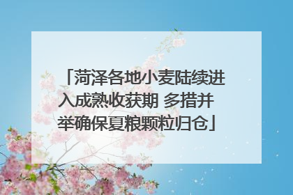 菏泽各地小麦陆续进入成熟收获期 多措并举确保夏粮颗粒归仓