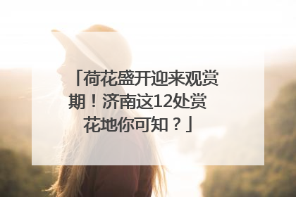 荷花盛开迎来观赏期！济南这12处赏花地你可知？