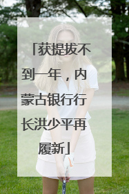 获提拔不到一年，内蒙古银行行长洪少平再履新