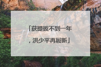 获提拔不到一年，洪少平再履新