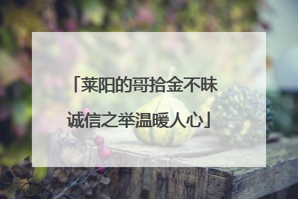 莱阳的哥拾金不昧 诚信之举温暖人心