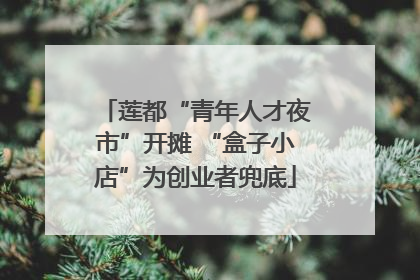 莲都“青年人才夜市”开摊 “盒子小店”为创业者兜底