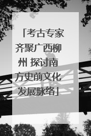 考古专家齐聚广西柳州 探讨南方史前文化发展脉络
