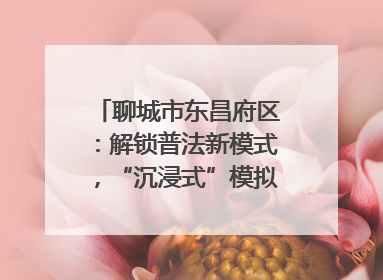 聊城市东昌府区：解锁普法新模式，“沉浸式”模拟法庭进社区
