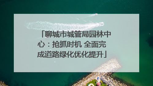 聊城市城管局园林中心：抢抓时机 全面完成道路绿化优化提升