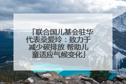 联合国儿基会驻华代表桑爱玲：致力于减少碳排放 帮助儿童适应气候变化
