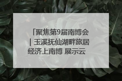 聚焦第9届南博会｜玉溪抚仙湖畔旅居经济上南博 展示云南生活新样本