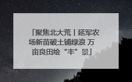 聚焦北大荒丨延军农场新苗破土铺绿浪 万亩良田绘“丰”景