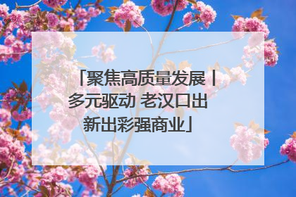 聚焦高质量发展丨多元驱动 老汉口出新出彩强商业
