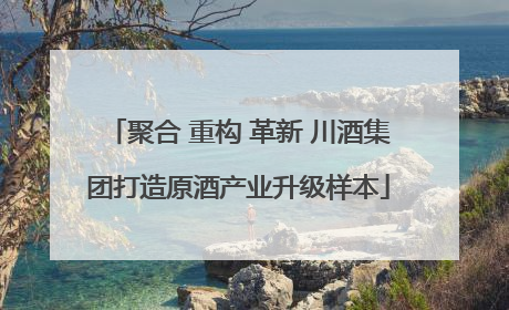 聚合 重构 革新 川酒集团打造原酒产业升级样本