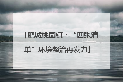 肥城桃园镇：“四张清单”环境整治再发力