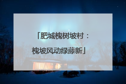 肥城槐树坡村：槐坡风动绿藤新