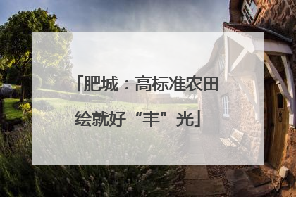 肥城：高标准农田绘就好“丰”光
