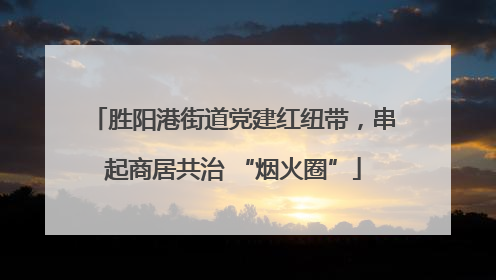 胜阳港街道党建红纽带，串起商居共治 “烟火圈”