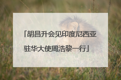 胡昌升会见印度尼西亚驻华大使周浩黎一行