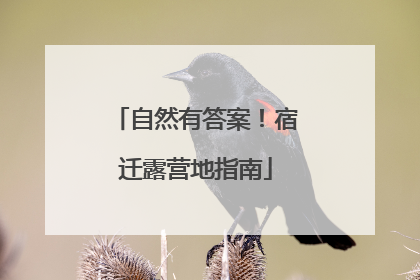 自然有答案！宿迁露营地指南