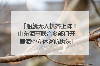船艇无人机齐上阵！山东海事联合多部门开展海空立体巡航执法